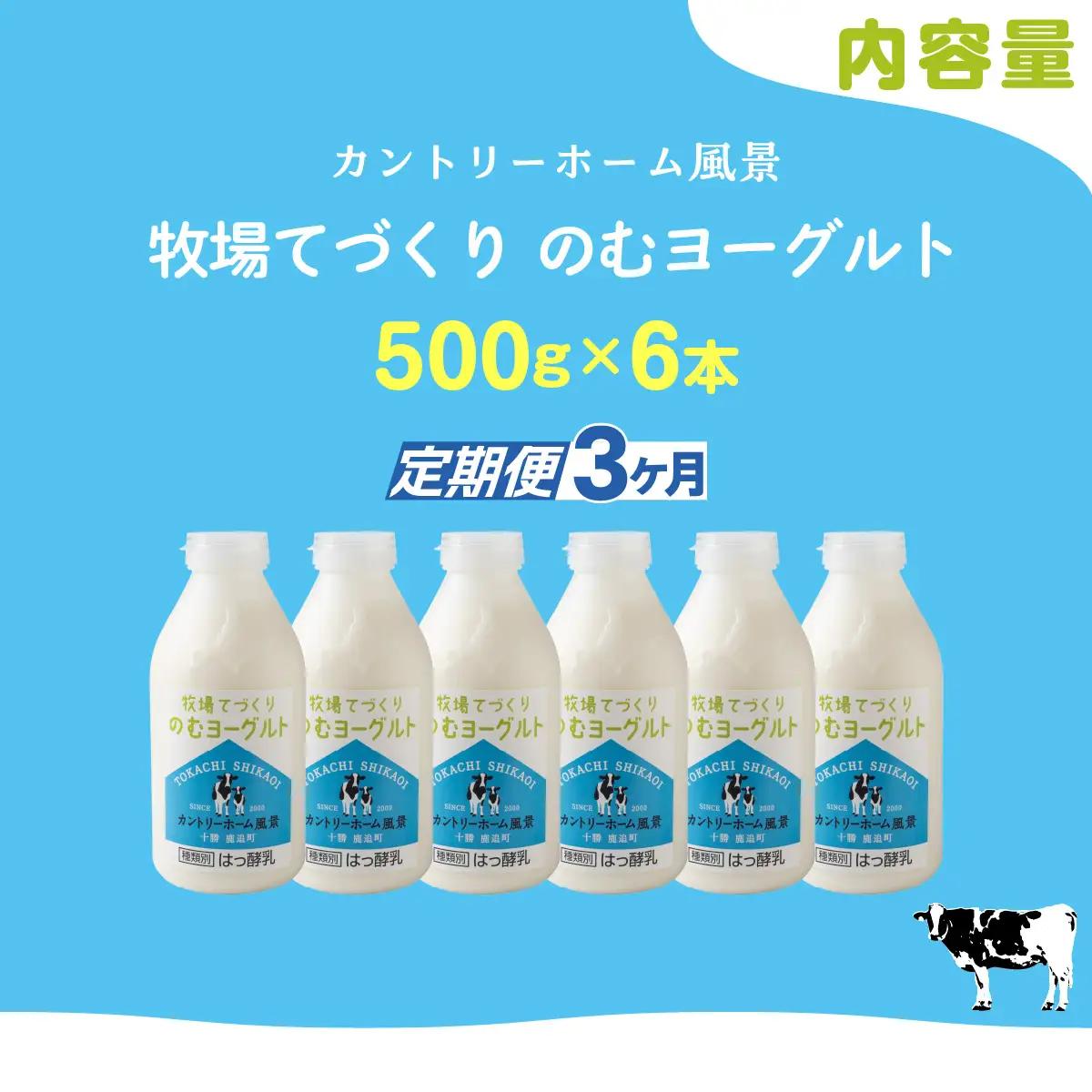 【定期3ヶ月】のむヨーグルト 500g ×6 SKB048