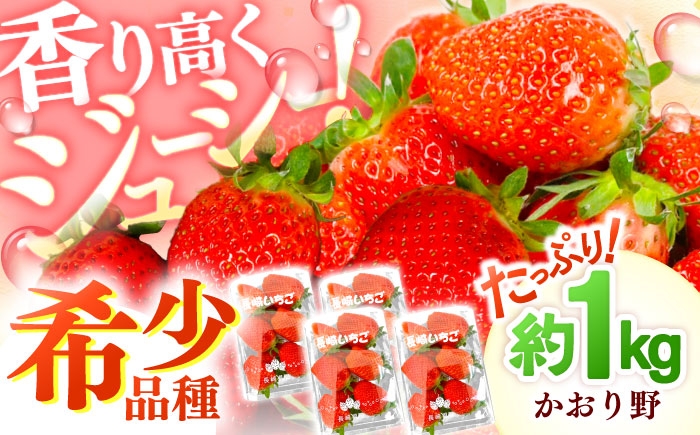 
                  香り高くジューシー！爽やかな甘さ！いちご「かおり野」約1kg（約250g×4パック）【2027年2月～発送】 長崎県/株式会社 ふるさと企画 [42AMAG003]
                