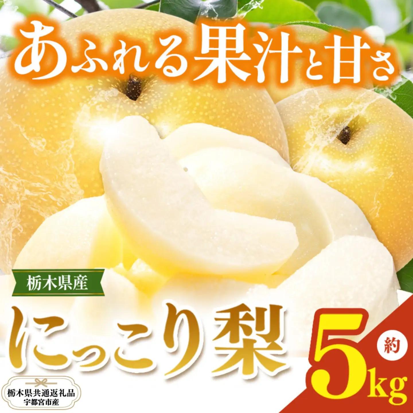 栃木県産梨 にっこり 5kg 【栃木県共通返礼品 (宇都宮市産) 】