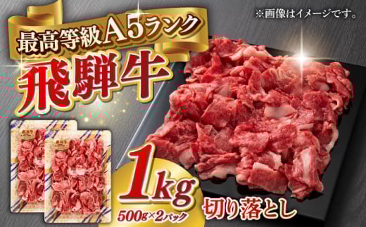 【2月発送】A5等級 飛騨牛 切り落とし 1kg(500g×2パック) ブランド牛 最高級 A5ランク 岐阜市 / 三心 [ANGY015-2]