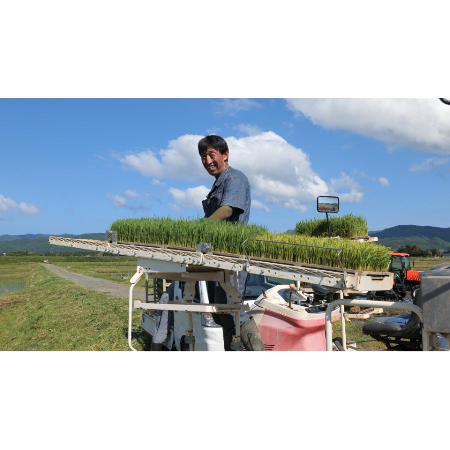 ＜食の宝島佐渡＞佐渡産ゆうだい21 白米10kg（5kg×2）