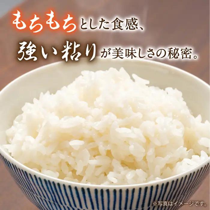 【6回定期便】長崎県産 精米 にこまる 10kg(5kg×2袋)総計60kg / 米 お米 こめ コメ 精米 / 南島原市 / 大松屋商店[SDR015]