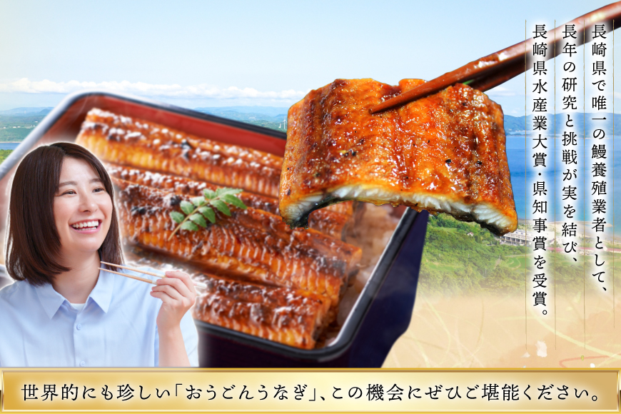 うなぎ 国産 蒲焼 長崎県産 おうごんうなぎ 約300g 2尾〜3尾 [松永水産 長崎県 平戸市 hr42bgy400022] 鰻 うな重 うな丼 ひつまぶし 蒲焼き かばやき タレ付き 養殖 国内産