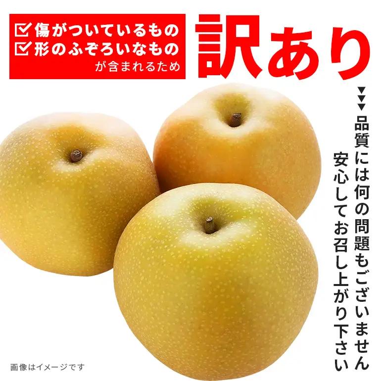 訳あり 柴沼梨園の梨 （ 幸水 ） 梨 5kg 訳あり品 10～18個入り 先行予約 【8月中旬～8月下旬発送】 BX-001