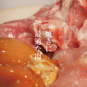 鶏肉 ささ鳥 京美白どり BBQ とりにく セット 鶏肉