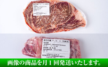 【全3回定期便】熊本県産 あか牛 ステーキ用ヒレ肉(約600g)、ロース肉(約800g) 計約1.4kg / 牛肉 国産 セット 食べ比べ【合同会社 たべたせいか】[BHBY029]