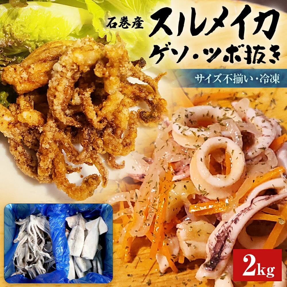 【ふるさと納税】石巻市産スルメイカ2kg 冷凍 国産 スルメイカゲソ1kg スルメイカ ツボ抜き1kg