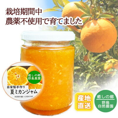 【ふるさと納税】【東京都東久留米市】夏ミカンジャム 140g×1本 野島自然農園【1498088】