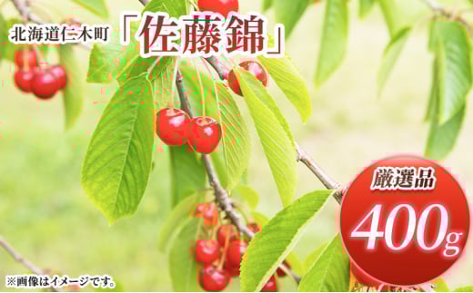 [先行受付] 北海道 仁木町産 厳選品 サクランボ 佐藤錦 400g Lサイズ以上 松山商店　さくらんぼ 旬 果物 くだもの 果実 フルーツ 桜桃 チェリー 産地直送