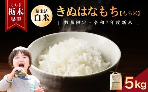 きぬはなもち(もち米)  5kg | お米 米 もち米 ミルキークイーン きぬはなもち とちぎの星 コシヒカリ こしひかり 美味しい お弁当 選べる 定期便 ふるさと 納税 栃木県 矢板市