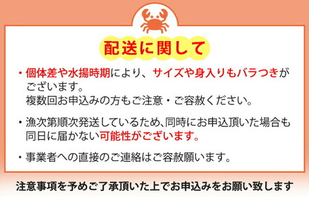 香箱がに 5～6尾（計約700g）【安吉水産】｜蟹 カニ ※離島への配送不可 ※2025年11月上旬～12月中旬頃に順次発送予定 ※発送まで1か月以上かかる場合があります。