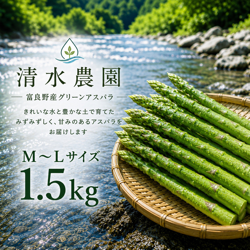【2027年発送】ふらの産 採れたて グリーンアスパラ(M～Lサイズ混合)約1.5kg [清水農園] アスパラ アスパラガス 野菜 新鮮 甘い 北海道 富良野