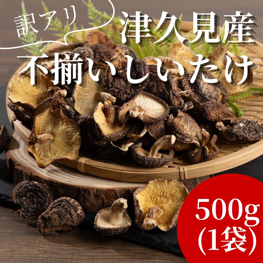 【ふるさと納税】 訳あり 津久見産不揃いしいたけ 500g | 乾燥椎茸 きのこ 茸 家庭用 しいたけ 乾燥シイタケ 国産 九州 大分県 津久見市 大容量 送料無料