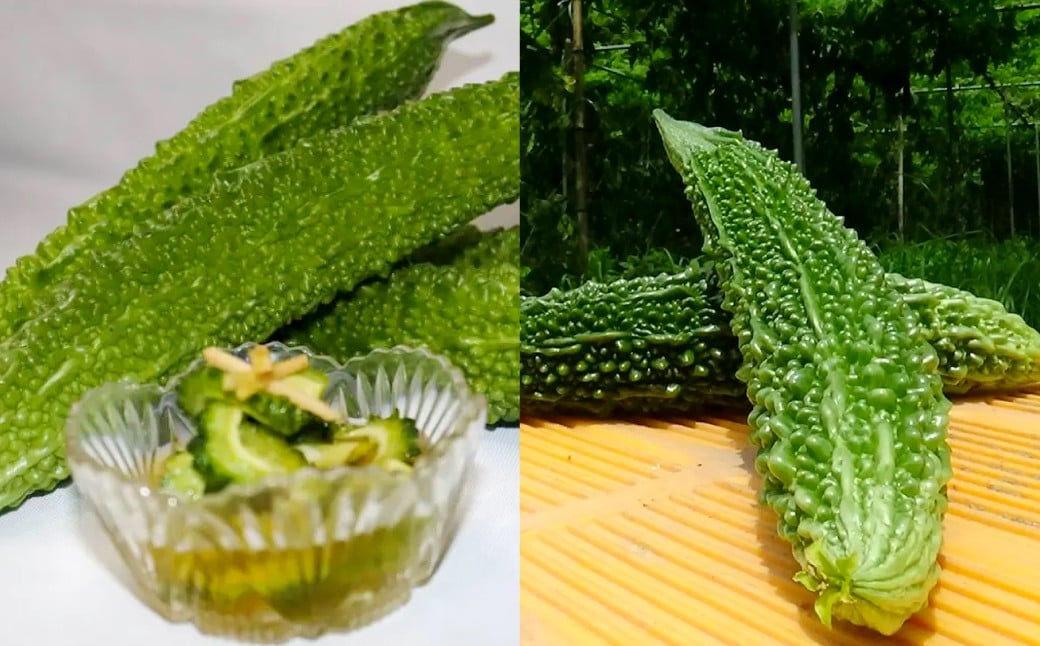 【鹿児島県産】【訳あり】 ゴーヤ 5kg ゴーヤー 朝どれ 夏野菜 【2025年7月上旬から9月下旬発送予定】 ZS-788