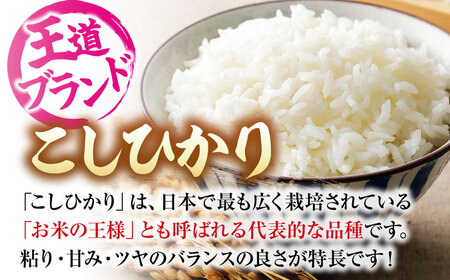 【全6回定期便】 米 盆地そだちこしひかり 5kg[APBM030]米