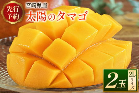 2027年出荷 太陽のタマゴ2Lサイズ 2玉 完熟マンゴー 宮崎 C218-27