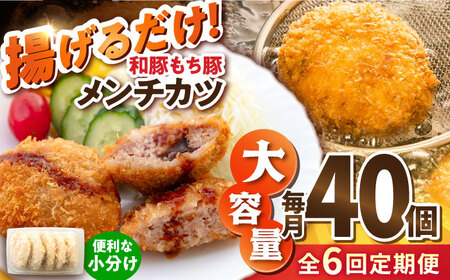 【全6回定期便】メンチカツ 40個 3.4kg コロッケ めんちかつ 惣菜 揚げ物 おかず 弁当 横須賀 冷凍【有限会社丸伸商事】 [AKFH040]