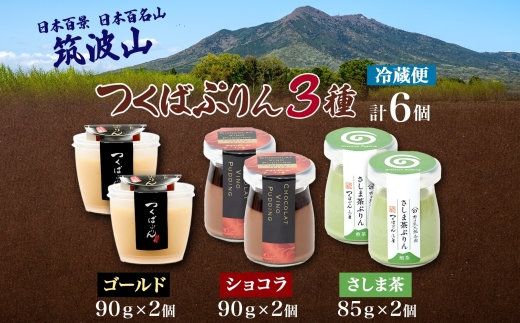 ゴールドぷりん ＆ ショコラ・ヴィノ・プディング ＆ さしま茶プリン 各2個 計6個 つくばぷりん プリン ぷりん ショコラ チョコレート さしま茶 茶 お茶 スイーツ 洋菓子 和スイーツ 冷菓 デザ
