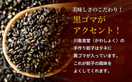 地元に愛される絶品手作り冷凍餃子60個 山武市産のニラをふんだんに使用！ ／ふるさと納税 餃子 キョウザ 冷凍 ニラ 中華 お惣菜 千葉県 山武市 SMBN002