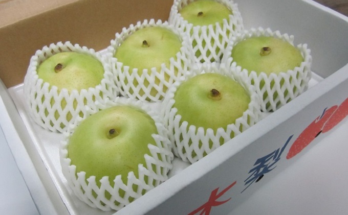 フルーツの里の直売所より 二十世紀梨 2.5kg ナシ 果物 先行