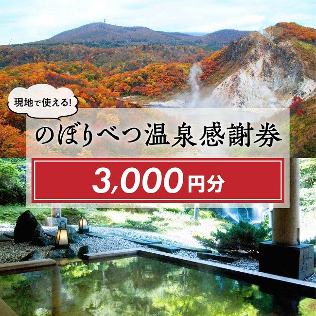 
のぼりべつ温泉感謝券3,000円分 チケット 温泉利用券 温泉券 のぼりべつ温泉感謝券 3,000円 日本の名湯 登別温泉 カルルス温泉 ホテル登別国際観光 コンベンション協会 温泉旅館 温泉宿 温泉旅館 ホテル 温泉ホテル ふるさと納税 北海道 登別市
