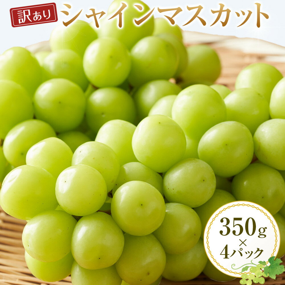 【ふるさと納税】929.【訳あり】シャインマスカット 350g×4パック ※2025年8月下旬頃～9月下旬頃に順次発送予定 | 先行予約 シャインマスカット マスカット 葡萄 ぶどう 果物 フルーツ くだもの 鳥取県 北栄町 おすすめ