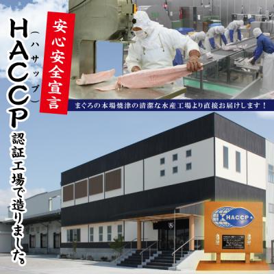 ふるさと納税 焼津市 天然みなみまぐろ 背ブロック 500g(a10-765) |  | 03