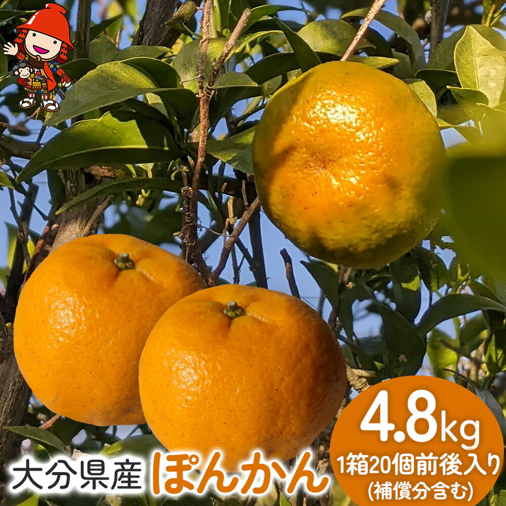 【ふるさと納税】＜先行予約＞大分産ぽんかん 約5kg (補償分含む）いわき農園 | 柑橘 ポンカン 椪柑 ミカン みかん 温州みかん 数量限定 産地直送 くだもの フルーツ ギフト 大分県産 九州産 中津市【発送は2026年1月10日～2026年2月5日までの予定】