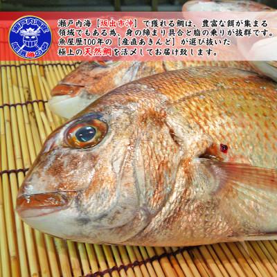 ふるさと納税 坂出市 ≪瀬戸内海産≫鮮魚のプロが見極めた朝1番水揚げされた天然真鯛を直送致します。[中サイズ] |  | 01