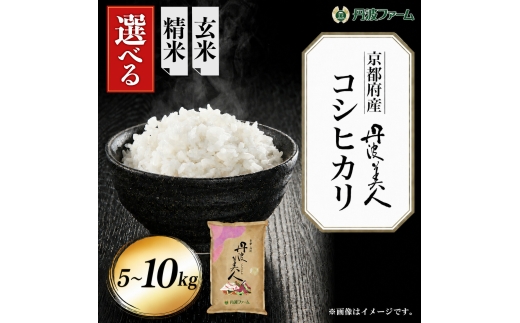 ＜令和7年産＞京都府産コシヒカリ「丹波美人」 (白米5kg) 【fc-ZW001-R7-A】【丹波ファーム】