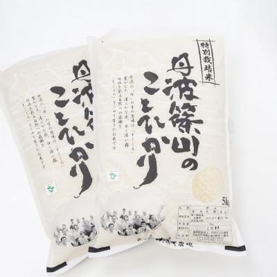 ふるさと納税 丹波篠山市 令和7年産!丹波篠山のこしひかり精米5kg×2袋 |  | 02