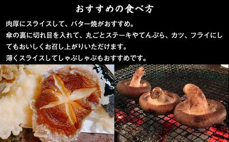 王様生しいたけパック 大容量800g 福田農園 【 ふるさと納税 人気 おすすめ ランキング しいたけ 王様 王様しいたけ シイタケ 椎茸 北海道 七飯町 送料無料 】 NAT004
