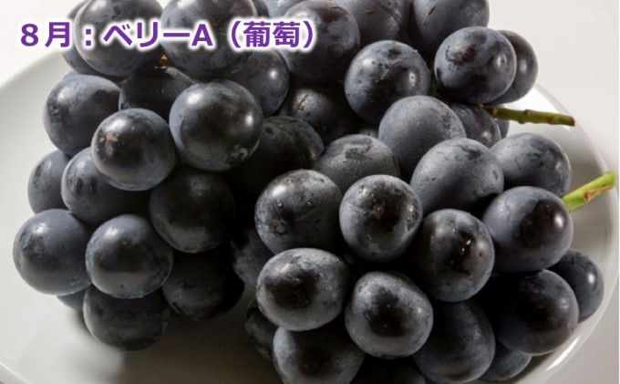 朝倉産 旬の果物【定期便】6回お届け※配送不可：離島