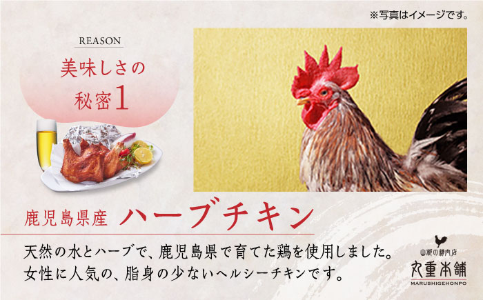 【全12回定期便】矢部のケンチキ 手羽先 500g 熊本 山都町 鶏肉 チキン クリスマス パーティ【有限会社 丸重ミート】[YAK048] 