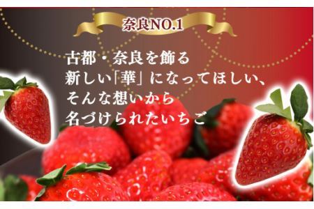 平群町産 古都華 2L ～ 3L サイズ 2ケース（4パック） 2月発送 | 苺 旬の品種 イチゴ ストロベリー くだもの フルーツ  奈良県 平群町 フードロス 人気 産地直送 ことか