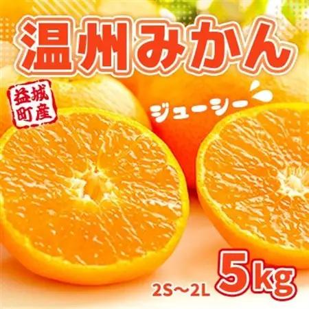 益城町産　温州みかん　約5kg【1352231】