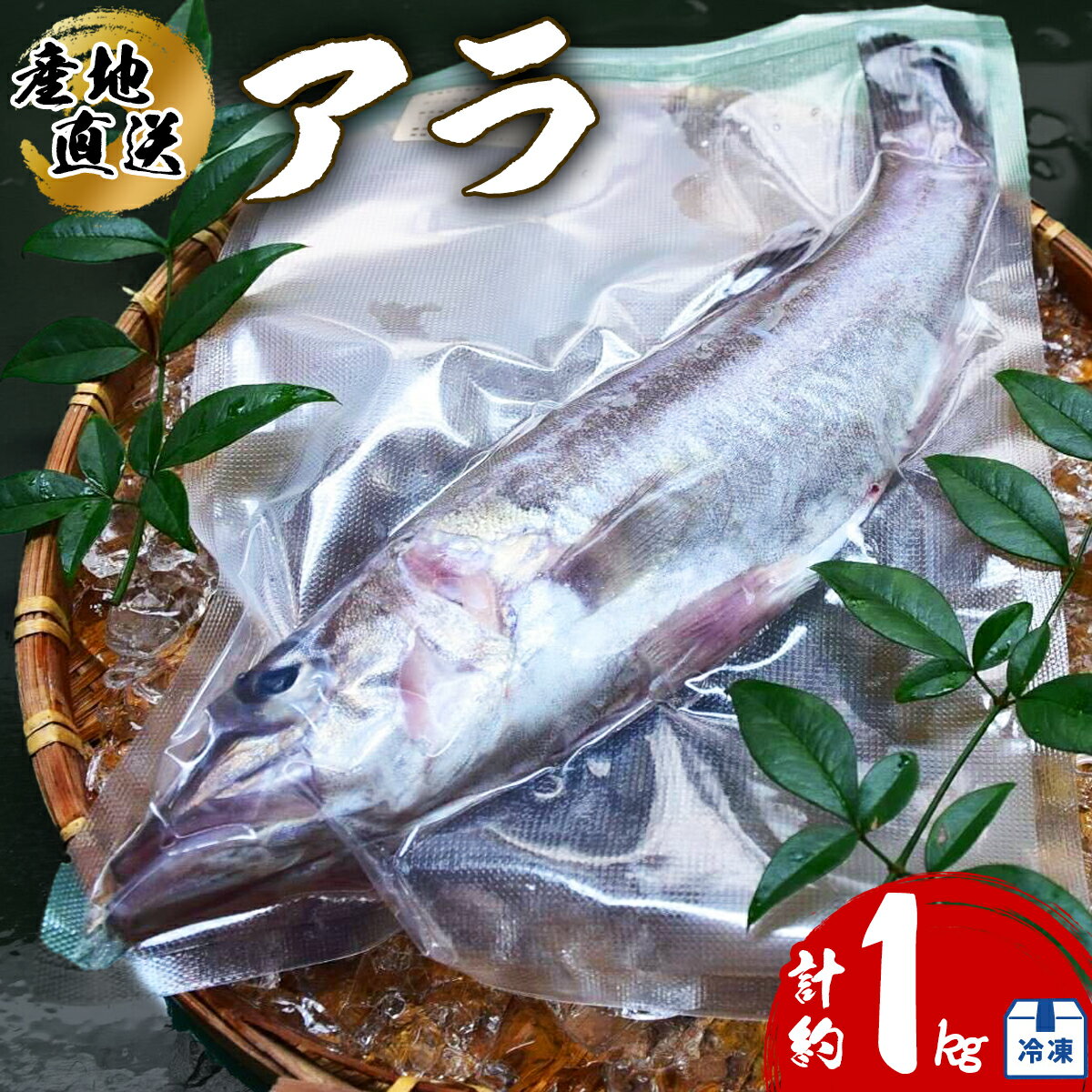 【ふるさと納税】 アラ 約1kg 産地直送 冷凍 下処理済 あら &#171658; 高級魚 水揚げ時重量約1kg 下処理後約900g