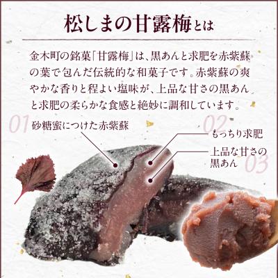 ふるさと納税 五所川原市 松しまの甘露梅 10個入 金木銘菓 黒あんと求肥を砂糖蜜に漬けた赤シソで包んだお菓子 五所川原市 |  | 01