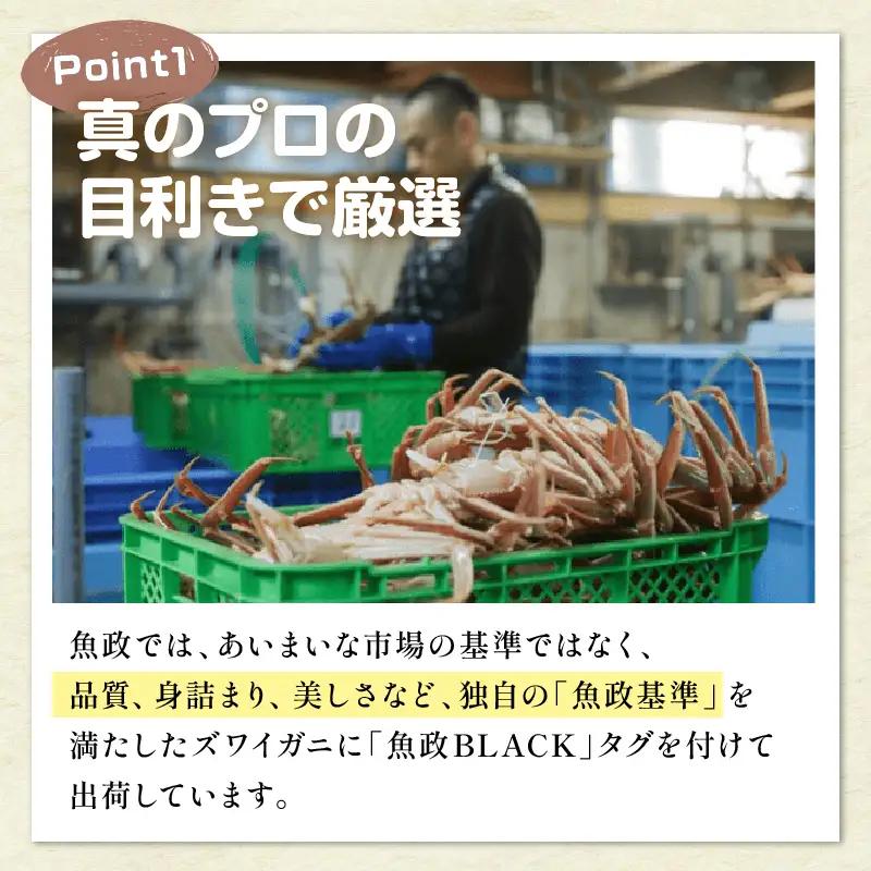訳あり　【蟹の匠 魚政】茹で　プレミアムズワイガニ 魚政BLACK（松葉ガニ・越前ガニ） 小サイズ（600～700g） 1匹 (1月～3月発送）蟹