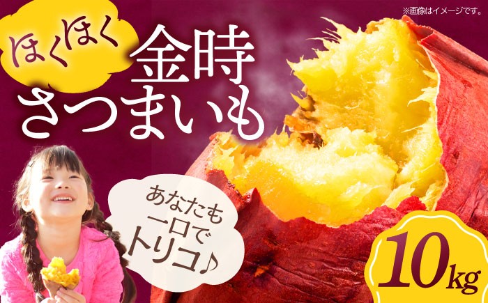 
                  さつまいも（ 金時 ）10kg 愛媛県大洲市/愛たい菜[AGAP013] いも 芋 さつまいも 薩摩芋 さつま芋 野菜 野菜セット やさい やさいセット 新鮮野菜 愛媛県産 大洲市産 産地直送 おすすめ 人気 お取り寄せ 送料無料 贈答 ギフト
                