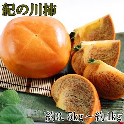 ふるさと納税 かつらぎ町 【希少】紀の川柿(たねなし)約3.5〜4kg・秀品【かつらぎ町】