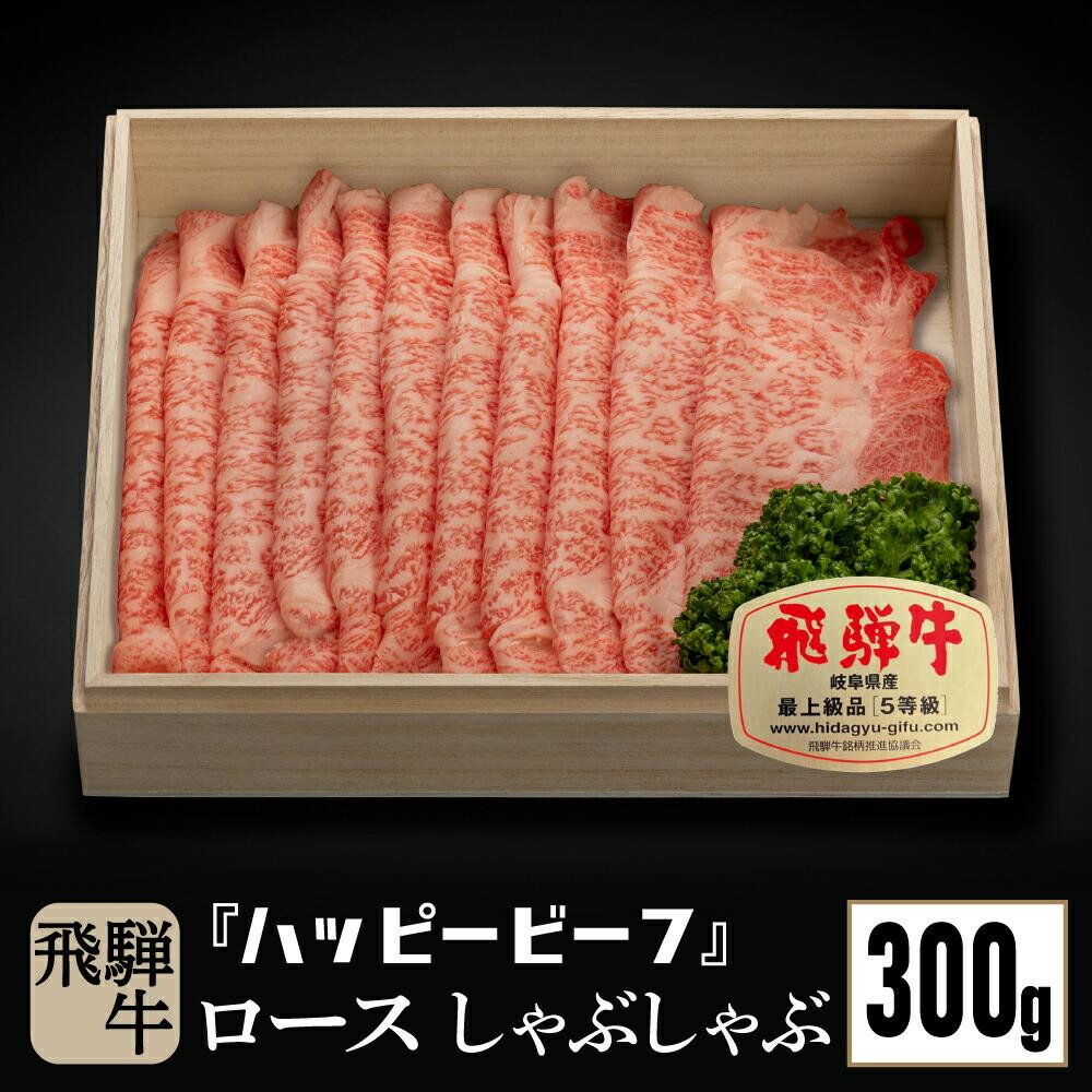 【ふるさと納税】飛騨牛 A5等級 ロース 300g | しゃぶしゃぶ 飛騨牛 ブランド牛 A5ランク ハッピープラス 飛騨高山 JQ010VP