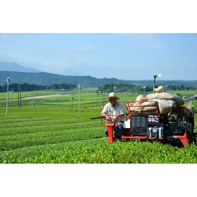滋賀県産抹茶使用 泡立つ抹茶ラテ1kg【約66杯分】 (177362-40040106)