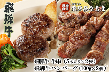 飛騨牛串焼き・飛騨牛ハンバーグセット（牛串 10本・ハンバーグ 100g×2個）最高級 国産 牛肉 ブランド牛 和牛 BBQ バーベキュー 冷凍配送 【22-33】