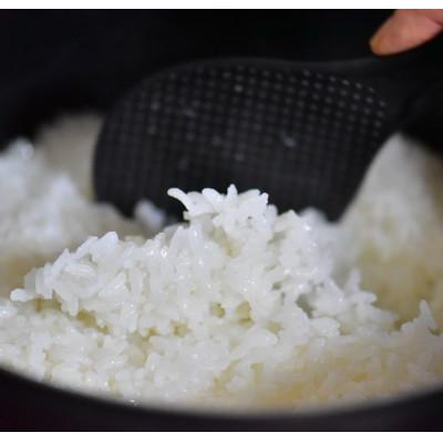 ふるさと納税 湯前町 【令和7年産】有機JAS認定米 ハヤシダライス(にこまる 精米) 5kg×2袋 計10kg |  | 01