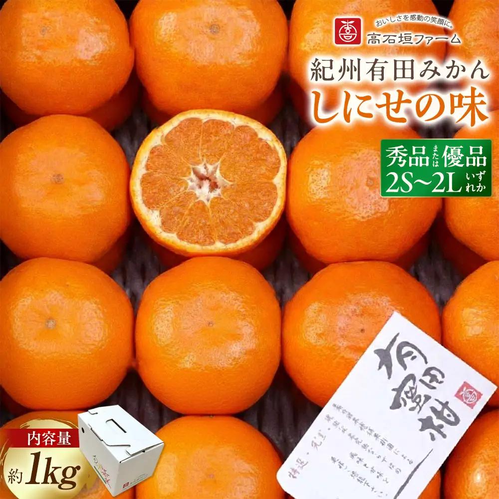 有田みかん 約1kg 2S～2L いずれか みかん 秀品または優品 しにせの味