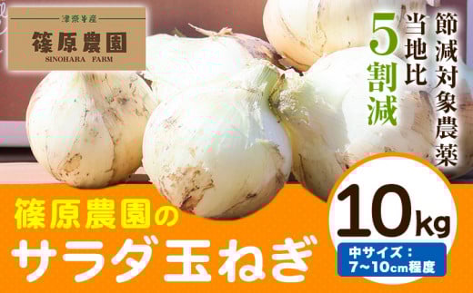 節減対象農薬 当地比5割減 サラダ玉ねぎ (中サイズ) 10kg 玉ねぎ サラダ玉ねぎ  《4月上旬-5月末頃出荷予定》熊本県 葦北郡 津奈木町 篠原農園 野菜 たまねぎ 自然栽培 大小サイズ混合