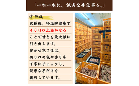  種子島 産 オーガニック (有機) 種子島安納いも (誠農園)  10kg　NFN538 【850pt】