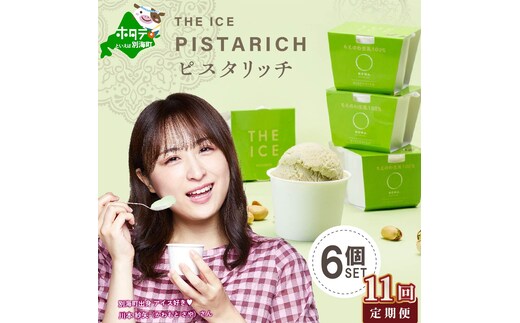 
										
										【毎月定期便】【THE ICE】ピスタリッチ6個セット×11ヵ月定期便【be003-1068-100-11】（J FARM AMUSE 株式会社）
									