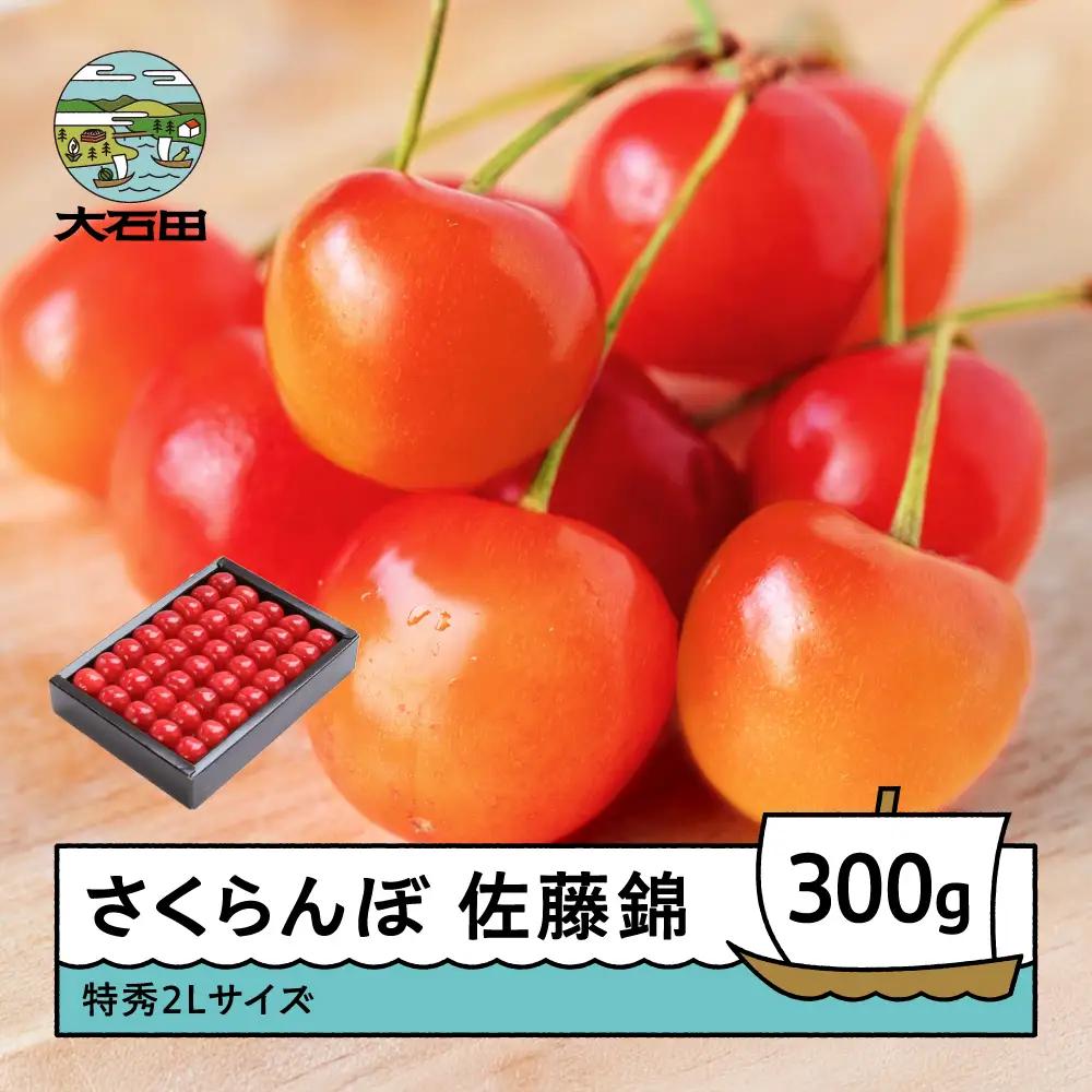 令和8年産 さくらんぼ 佐藤錦 特秀2L 化粧箱入 300gns-snt2x300